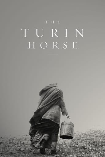Poster for the movie "The Turin Horse"
