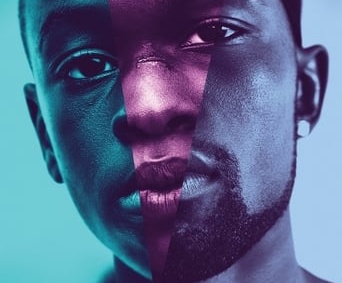 Poster for the movie "Moonlight"