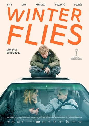 Poster for the movie "Winter Flies"